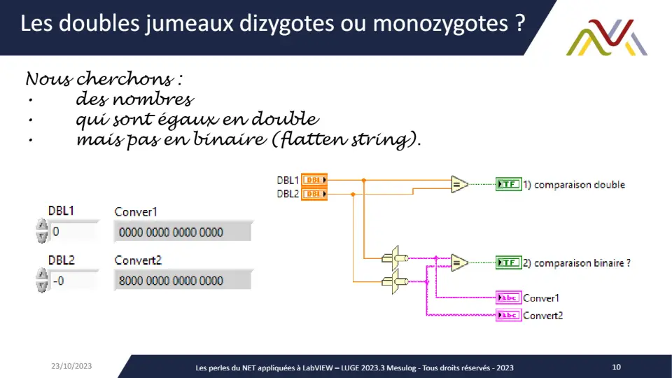 Les doubles jumeaux dizygotes ou monozygotes ? – diapositive 10